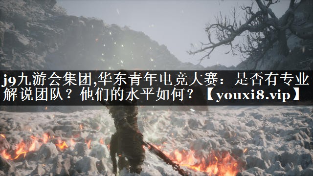 华东青年电竞大赛：是否有专业解说团队？他们的水平如何？
