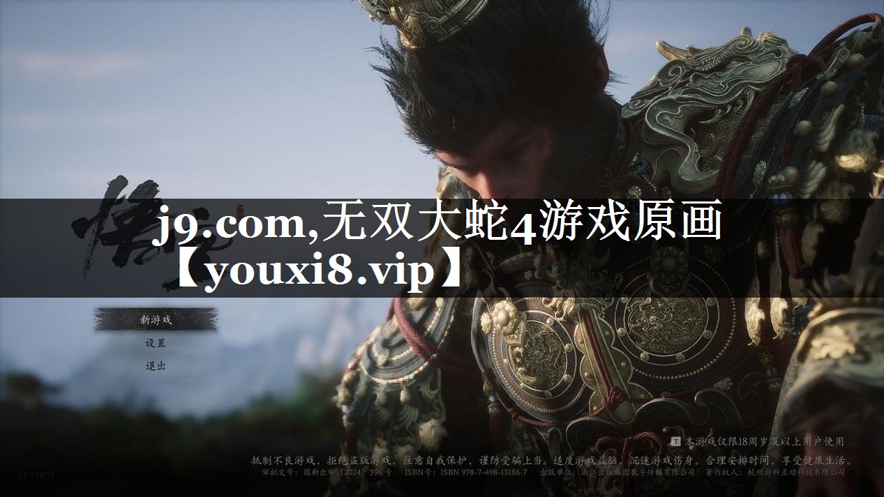 无双大蛇4游戏原画