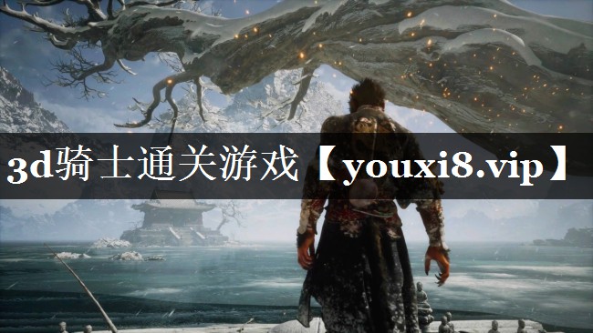 3d骑士通关游戏