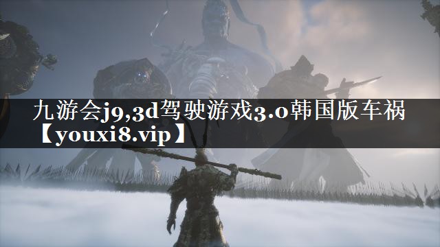 3d驾驶游戏3.0韩国版车祸