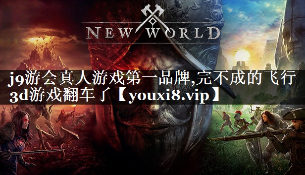 完不成的飞行3d游戏翻车了