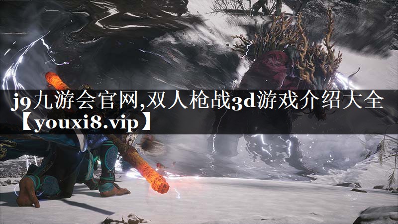 双人枪战3d游戏介绍大全