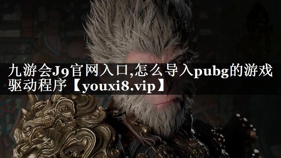 怎么导入pubg的游戏驱动程序