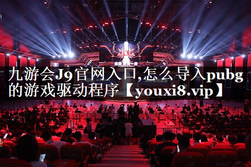 怎么导入pubg的游戏驱动程序