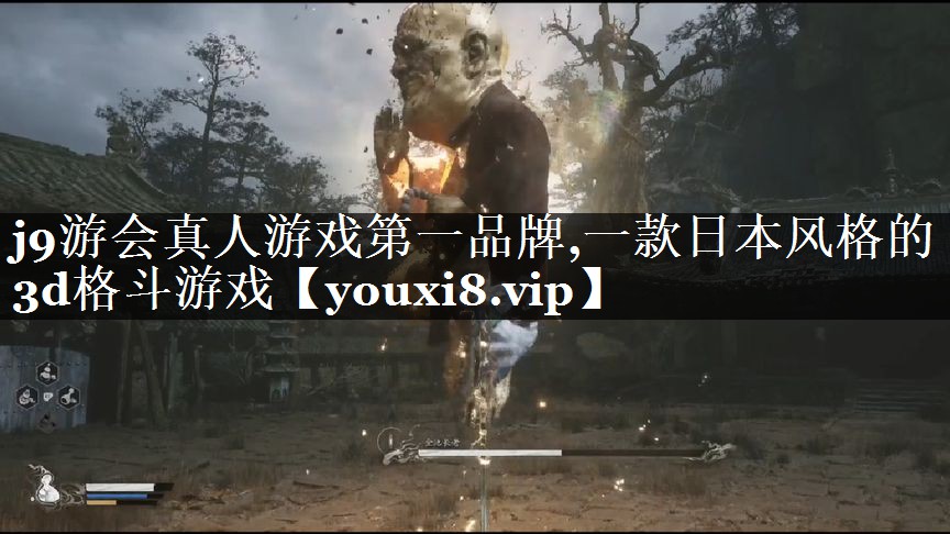 一款日本风格的3d格斗游戏
