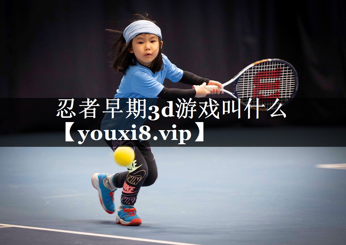忍者早期3d游戏叫什么