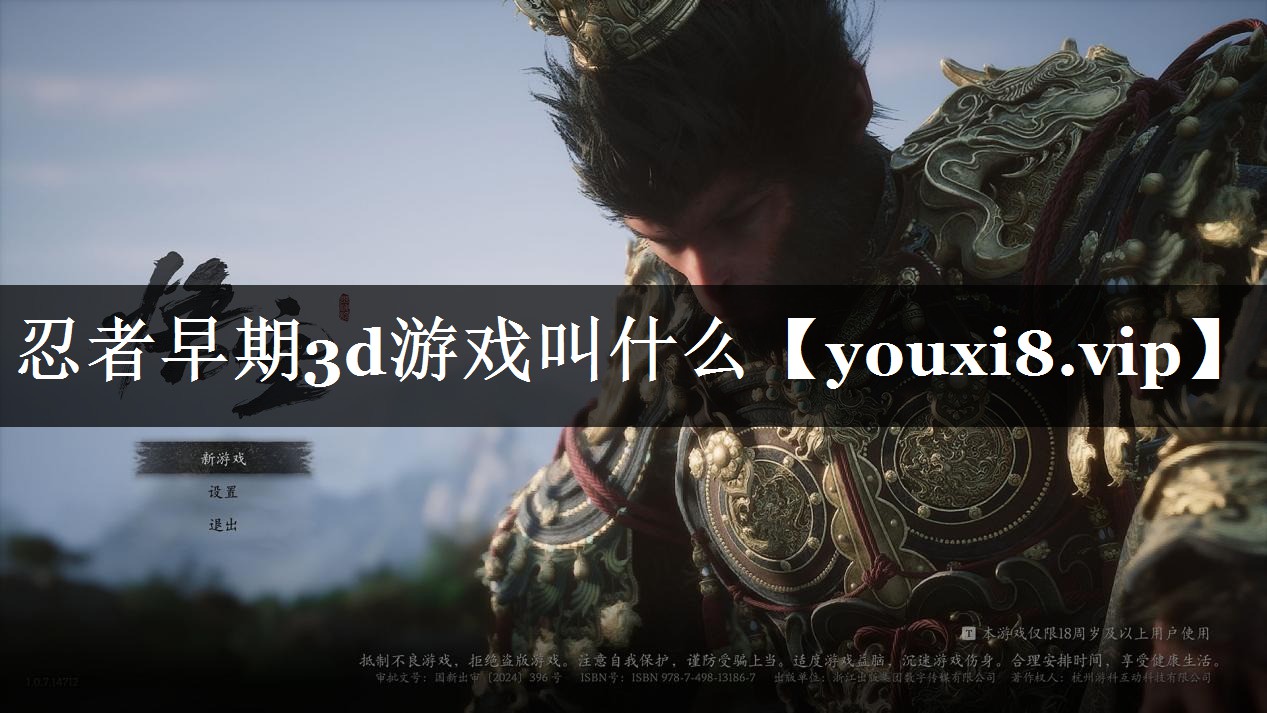 忍者早期3d游戏叫什么