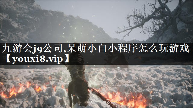 呆萌小白小程序怎么玩游戏