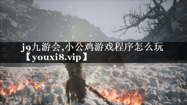 小公鸡游戏程序怎么玩
