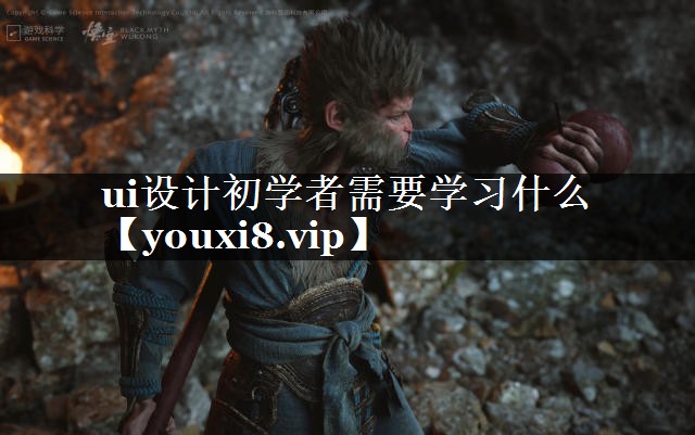 ui设计初学者需要学习什么