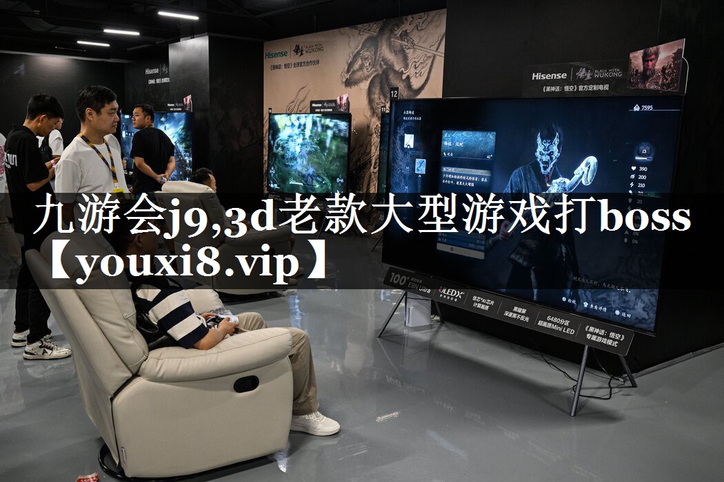 3d老款大型游戏打boss