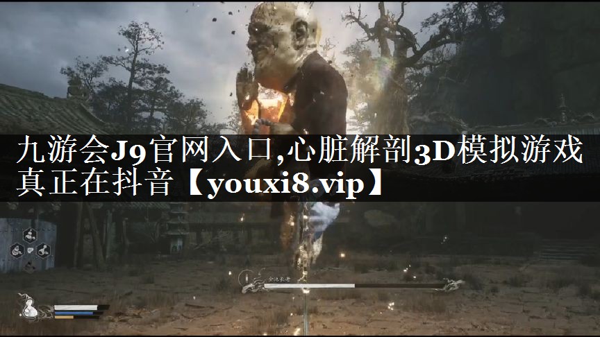 心脏解剖3D模拟游戏真正在抖音